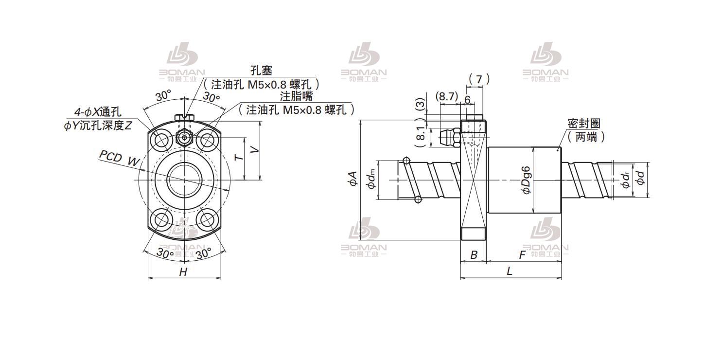 BSS2010-3E-BSS标准系列丝杠